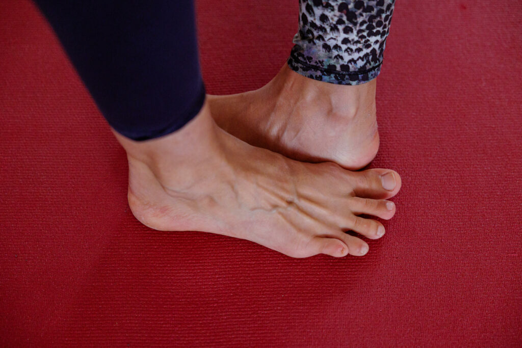 Cours particulier de yoga Iyengar
